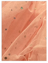 Load image into Gallery viewer, Ek halki gulabi rang ki, chamkili, jaali wali kapde ki close-up tasveer, jiske upar chandi rang ke chote-chote sitare lage hain.